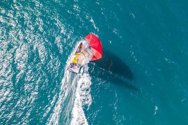 Made In Midi lors des test techniques de son nouveau mât. Le voilier du navigateur héraultais Kito de Pavant est presque prêt à reprendre la mer.