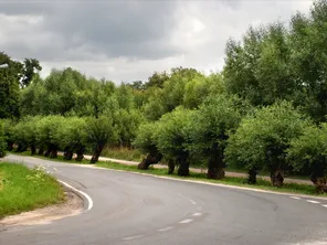 Nombreux nuages sur la Normandie, et quelques pluies à craindre au sud-est