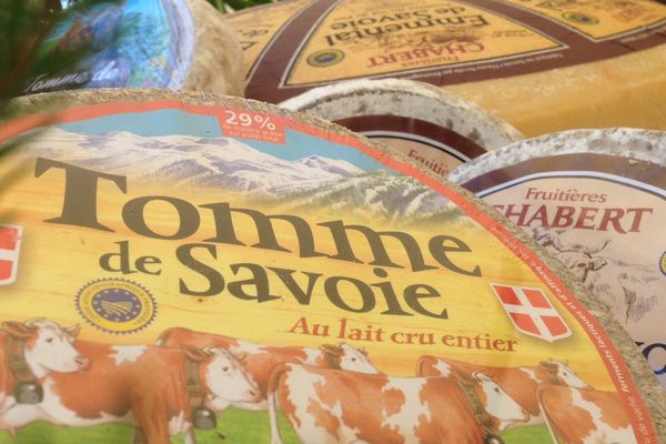 Une Tomme de Savoie estampillée de son IGP à Rumilly. 