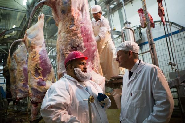 Visité inopinée d'Olivier Falorni (à d.) aux abattoirs de Meaux où la société AMENICOV pratique l'abattage rituel.