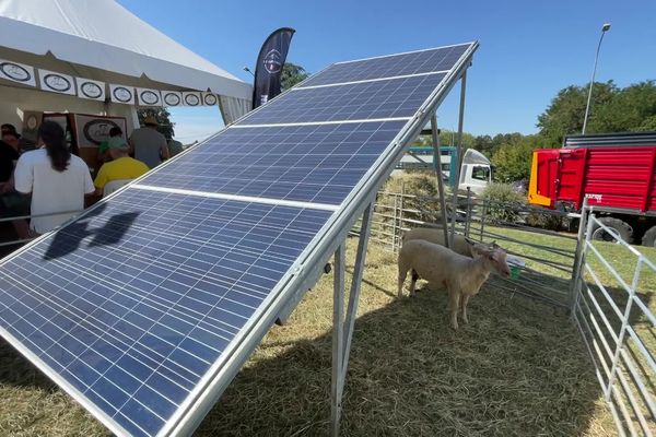 Des panneaux photovoltaïques en complément d'activité des éleveurs du Limousin