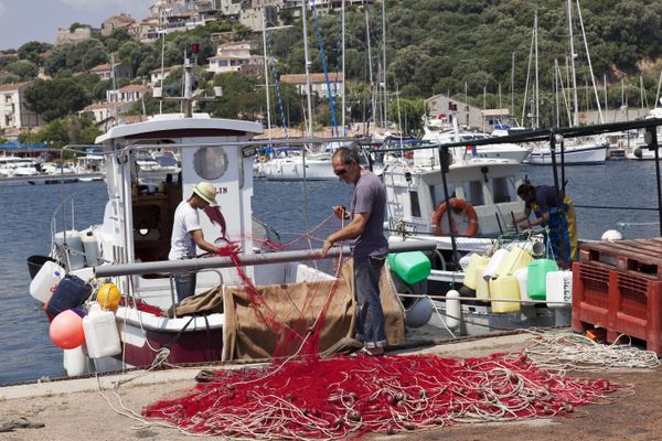 Pêcheurs à Porto-Vecchio, en Corse-du-Sud.