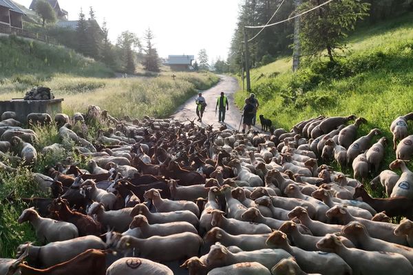 7 jours de marche, 120 km entre Caussols et Roure.