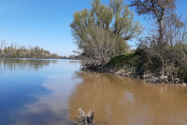 Depuis ce samedi 20 mars, une eau marron s'écoule dans la Garonne. 