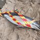 Ce dauphin commun a été retrouvé ce samedi 23 mars 2024 sur la plage du Verger à Cancale, près de la baie du Mont Saint-Michel. C'est le sixième échouage recensé dans ce secteur.