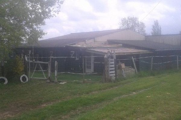 Les 13 chiens appartiennent à un un vieil homme qui vit isolé dans cette maison