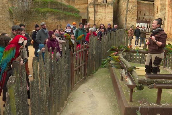 L'an dernier  274 000 visiteurs se sont rendus au bioparc de Doué-la-Fontaine près d'Angers