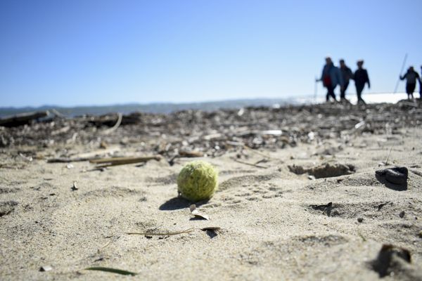 Une session de ramassage de déchets plastiques sur une plage