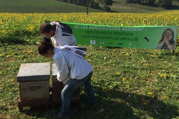 Des exploitants agricoles au service des abeilles : dans l'Ain, le CETA signe des conventions de partenariat avec la Chambre d'agriculture