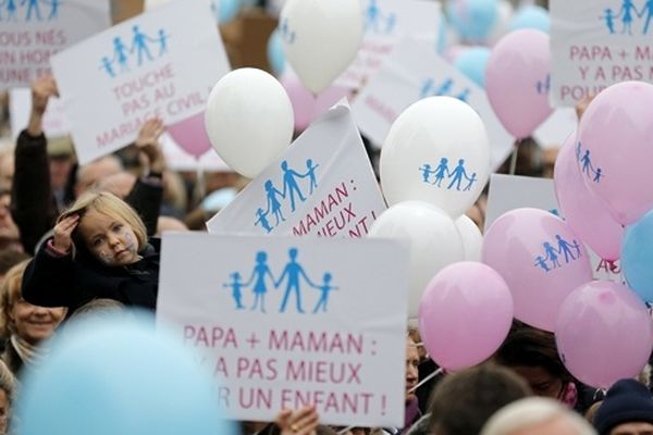 La manifestation parisienne contre l'ouverture du mariage aux couples de même sexe, le 17 novembre 2012. 