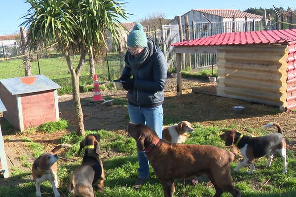 Les équipes du Refuge Oléronais prodiguent les soins nécessaires à ces animaux victimes de maltraitance.