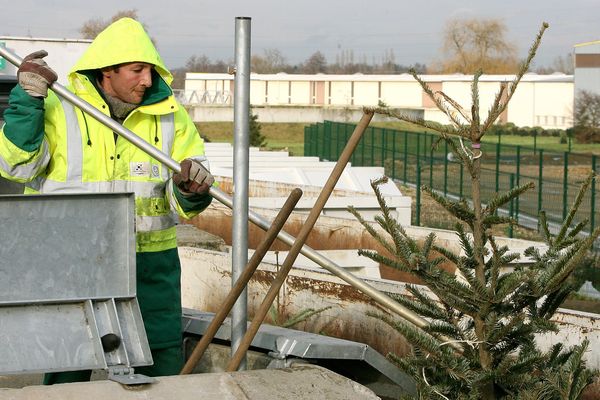 Déposé en déchetterie, le sapin sera recyclé et revalorisé.