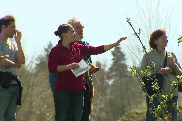 Des bénévoles contrôlent la qualité des haies dans le Puy-de-Dôme.