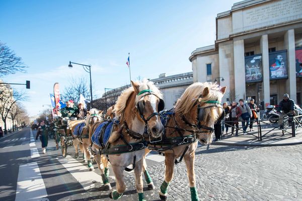 Le 17eme salon du cheval, qui se tient à Paris, a organise en avant premiere un defile compose de 130 chevaux et une quarantaine d'attelages dans les rues de la capitale.