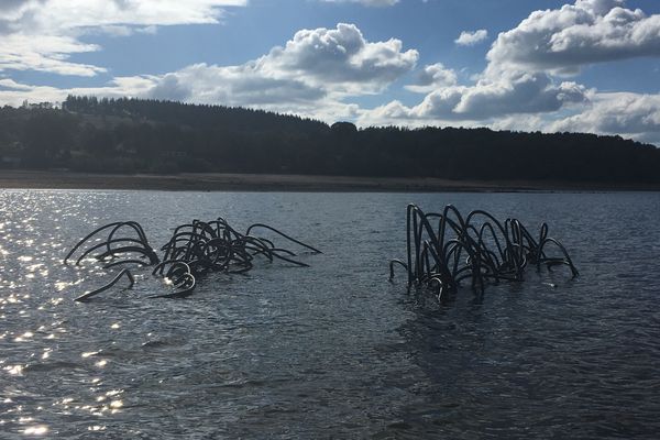 On peut voir les récifs en plastique dépasser en temps de sécheresse. Normalement, les tentacules sont entièrement immergées dans l'eau.