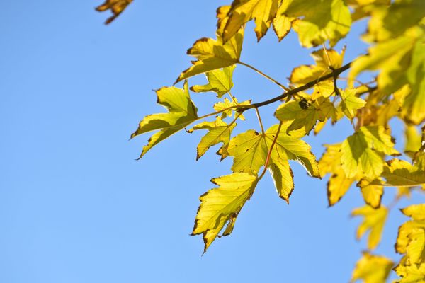 météo, soleil et douceur