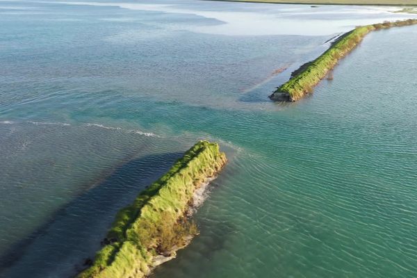 Une brèche est apparue en 2020 sur la digue. Il a été décidé de ne pas la colmater et de laisser l’eau envahir les marais de Drouet et de Ploubalay.