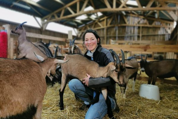 Aline de Blast a décidé de faire adopter ses chèvres