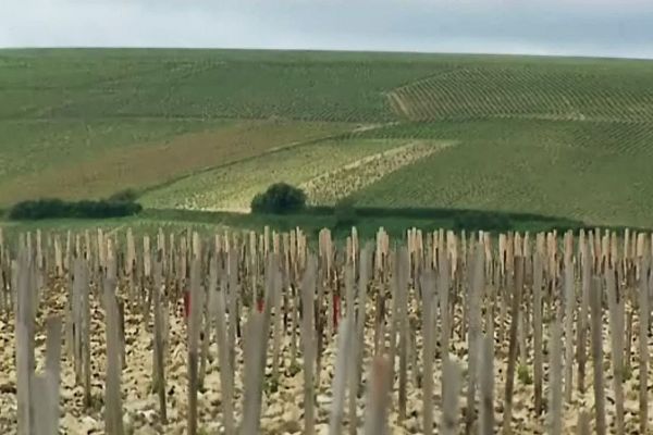 Les vallons du sancerrois, paysage paisible, mais lieu de vols à grande échelle