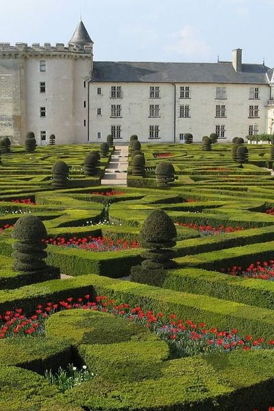 Promenade dans les allées du jardin de Villandry