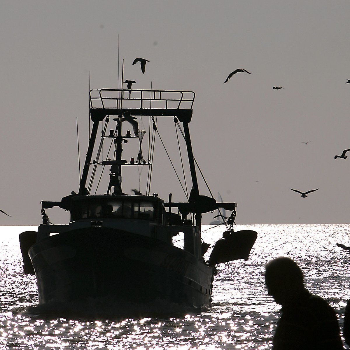 Sortie pêche en mer au Grau-du-Roi - Une partie de pêche en bateau ?