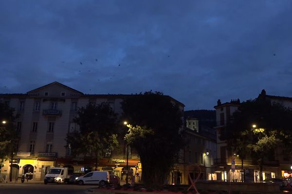 La ville de Millau fait appel à un artificier pour venir à bout des choucas des tours, espèce protégée.