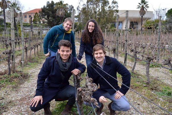 Bérenguer, Diégo,Thomas sont étudiants en viticulture-œnologie à SupAgro de Montpellier