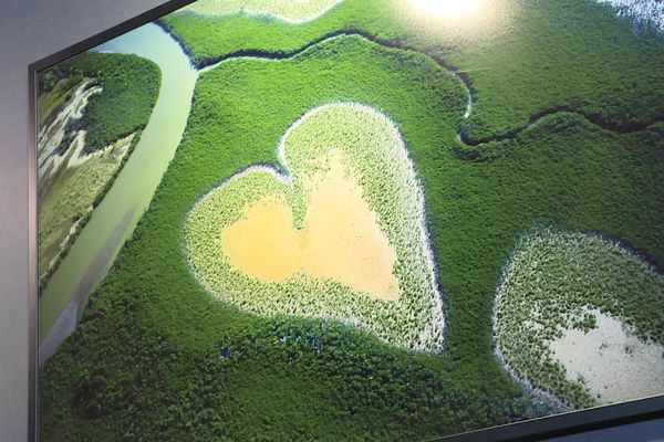 La terre vue du ciel de Yann Arthus-Bertrand