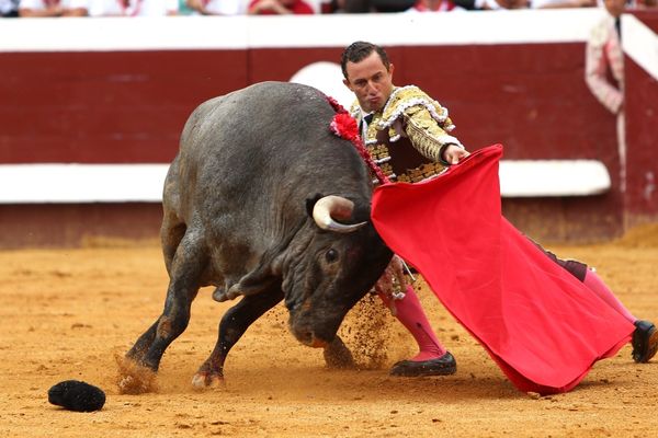 La seule oreille pour Rafaelillo au premier toro d'une corrida d'Escolar Gil difficile et sans concessions. Le jour d'après...