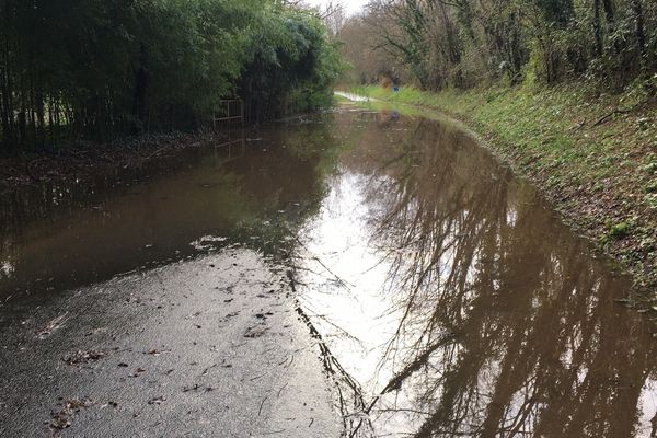 Une route départementale inondée par la Vézère en crue.