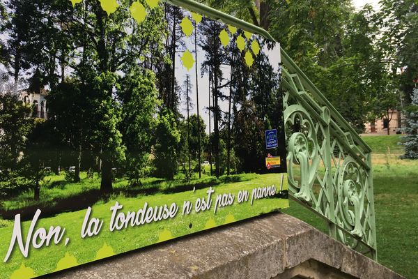 L'Achillée, l'orge sauvage ont réinvesti une partie du parc des Bourins.