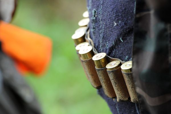Un tiers des victimes d'accidents de chasse mortels ne sont pas chasseurs.