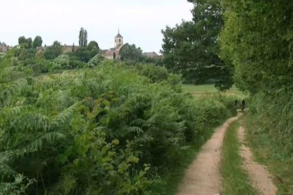 Un sentier de randonnée près de Marigny-l'Eglise dans le Morvan