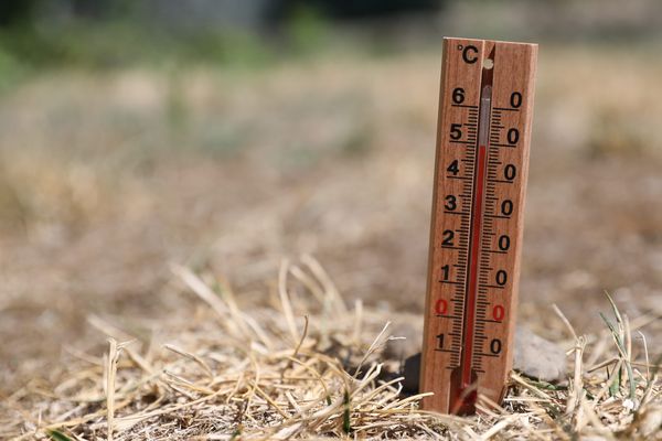 Le thermomètre va afficher des températures de 39°C, notament dans le Vaucluse.