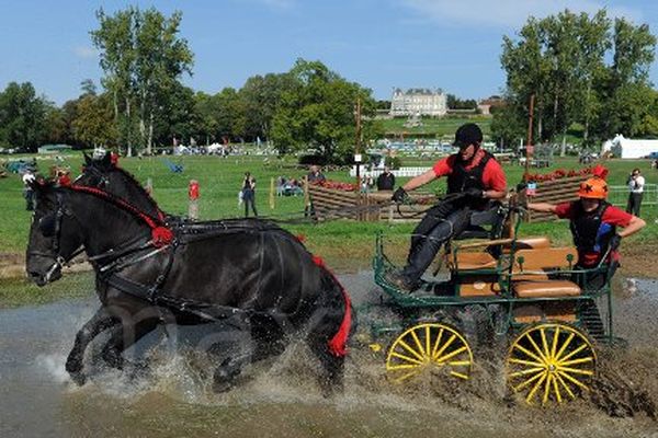 Mondial du percheron au haras du Pin dans l'Orne en 2011. 