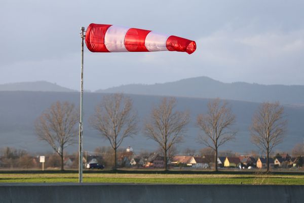 Des rafales de vents jusqu'à 107 km/h ont été enregistrées à Strasbourg