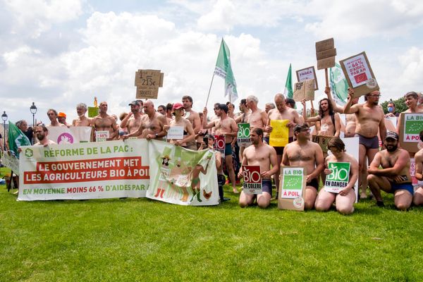 "La bio à poil" : en 2021, rassemblement a l'appel de la Fédération nationale d'agriculture biologique Fnab contre les arbitrages français sur la PAC