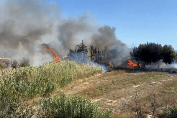 Un feu est en cours à Rivesaltes, dans les Pyrénées-Orientales, le 14 septembre 2024.