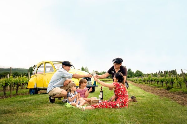 Au cœur du vignoble de l'AOC Cahors 