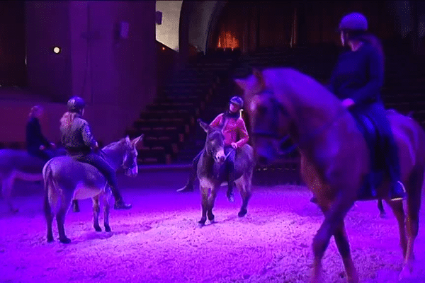 Une répétition de « la Belle et la Bête », spectacle de Noël 2015 aux Grandes écuries de Chantilly 