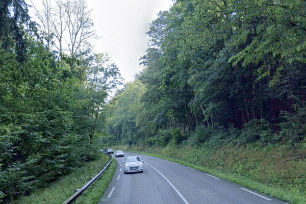 Une femme est morte écrasée par un arbre dans la commune de Saint-Blaise-la-Roche, dimanche 29 octobre.