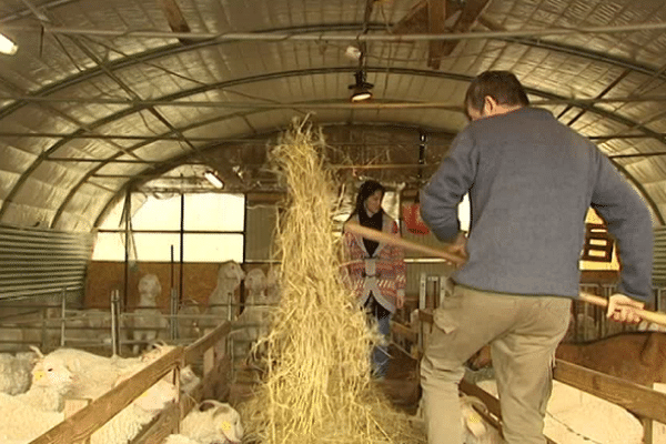 Solidarité Paysans du Limousin aide bon an mal an près de 200 familles