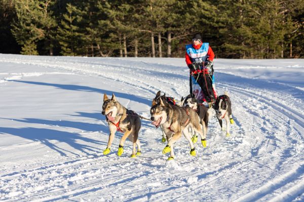 La Grande Odyssée c'est près de 400 km et 12 000 m de dénivelé positif cumulé.