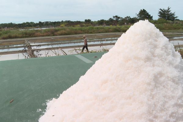 Sur l'île de Ré, la récolte du sel est en retard en raison de la météo maussade de ces neuf derniers mois.