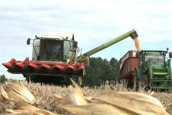 Les producteurs paient un printemps trop pluvieux