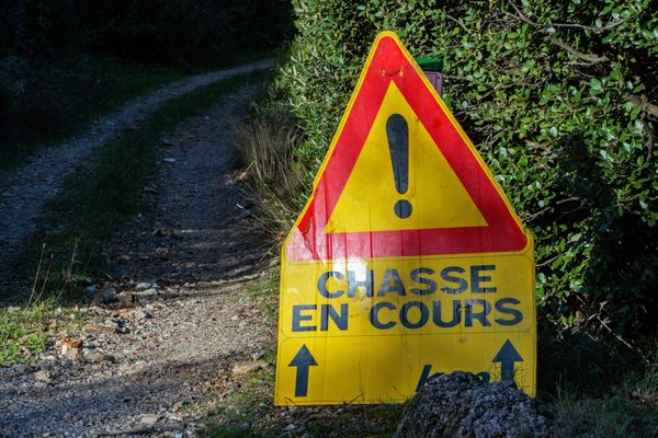 Une battue était en cours dans la commune au moment des faits.