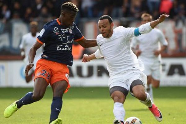 Le MHSC s'est incliné face à Toulouse 1 à 0 au stade de la Mosson à Montpellier - 2 avril 2017