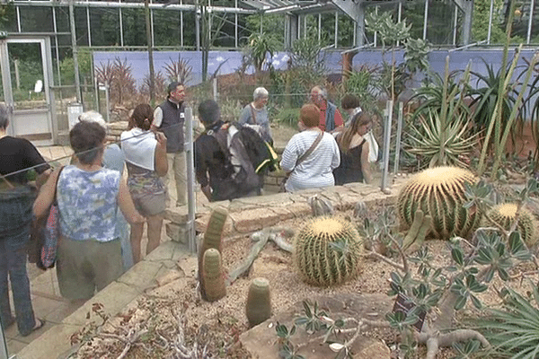 Visite dans une serre du conservatoire national botanique de Brest (29).