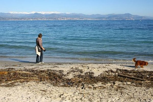 Un arrêté préfectoral renouvelle l'interdiction de baignade à toute personne jusqu'au 23 novembre inclus sur le littoral de la commune de Cannes