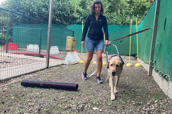 Atelier "obstacles" avec Aurore Antoine éducatrice pour chiens-guides. (Archives)